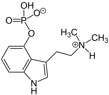 裸盖菇素的分子结构。 裸盖菇素的分子结构。